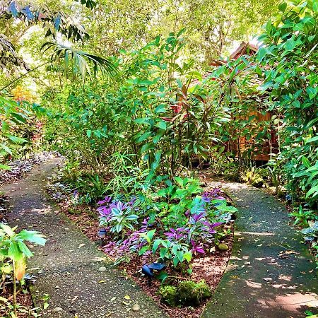 קאוויטה Coral Hill Bungalows מראה חיצוני תמונה