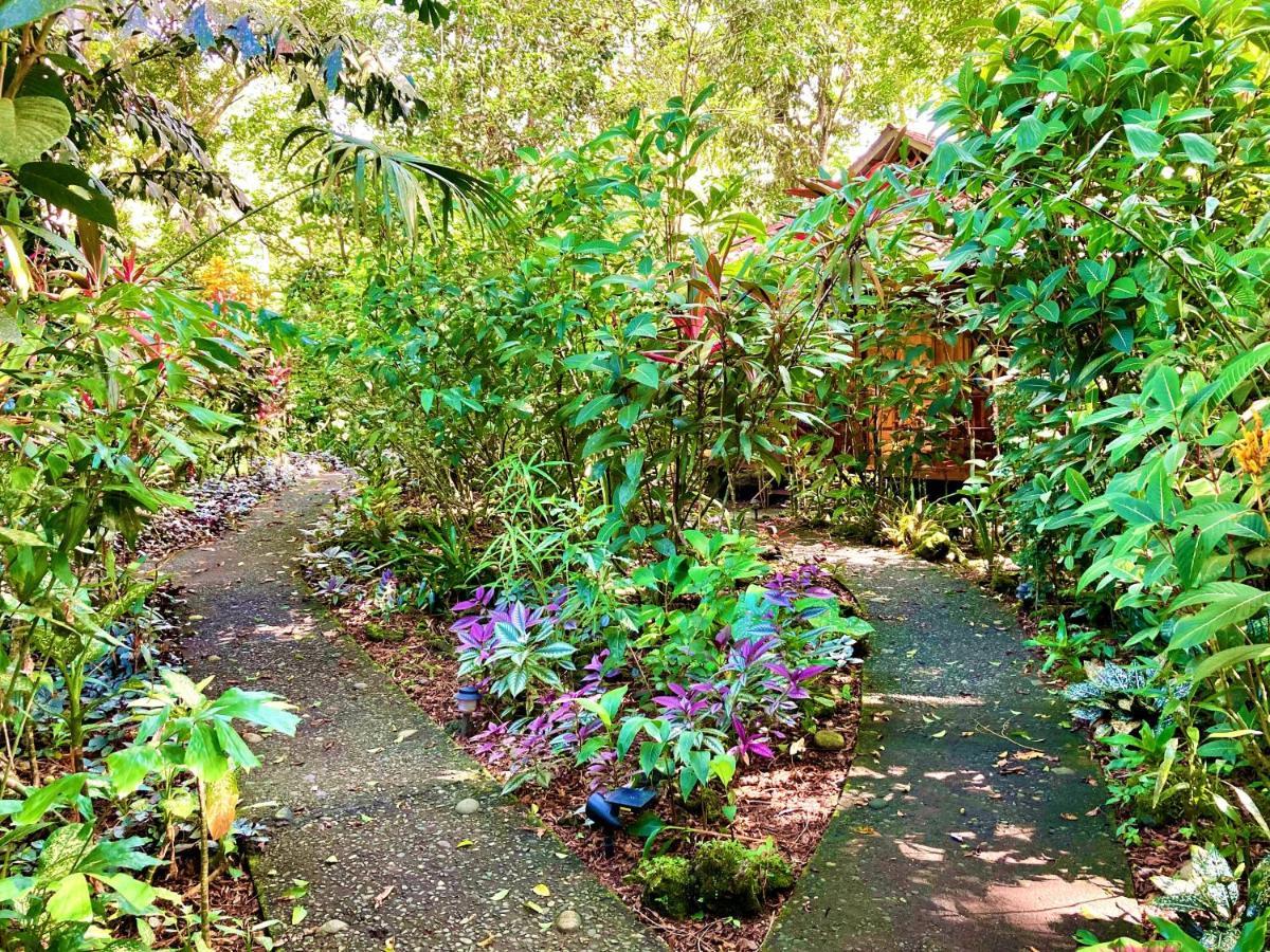 קאוויטה Coral Hill Bungalows מראה חיצוני תמונה