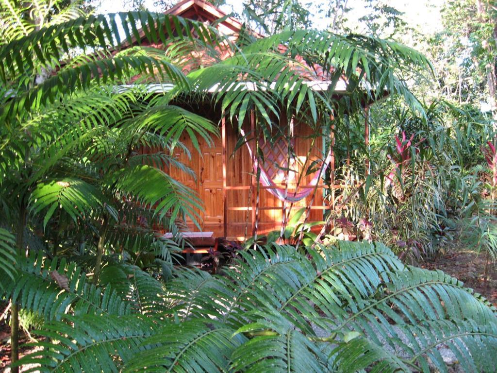 קאוויטה Coral Hill Bungalows מראה חיצוני תמונה