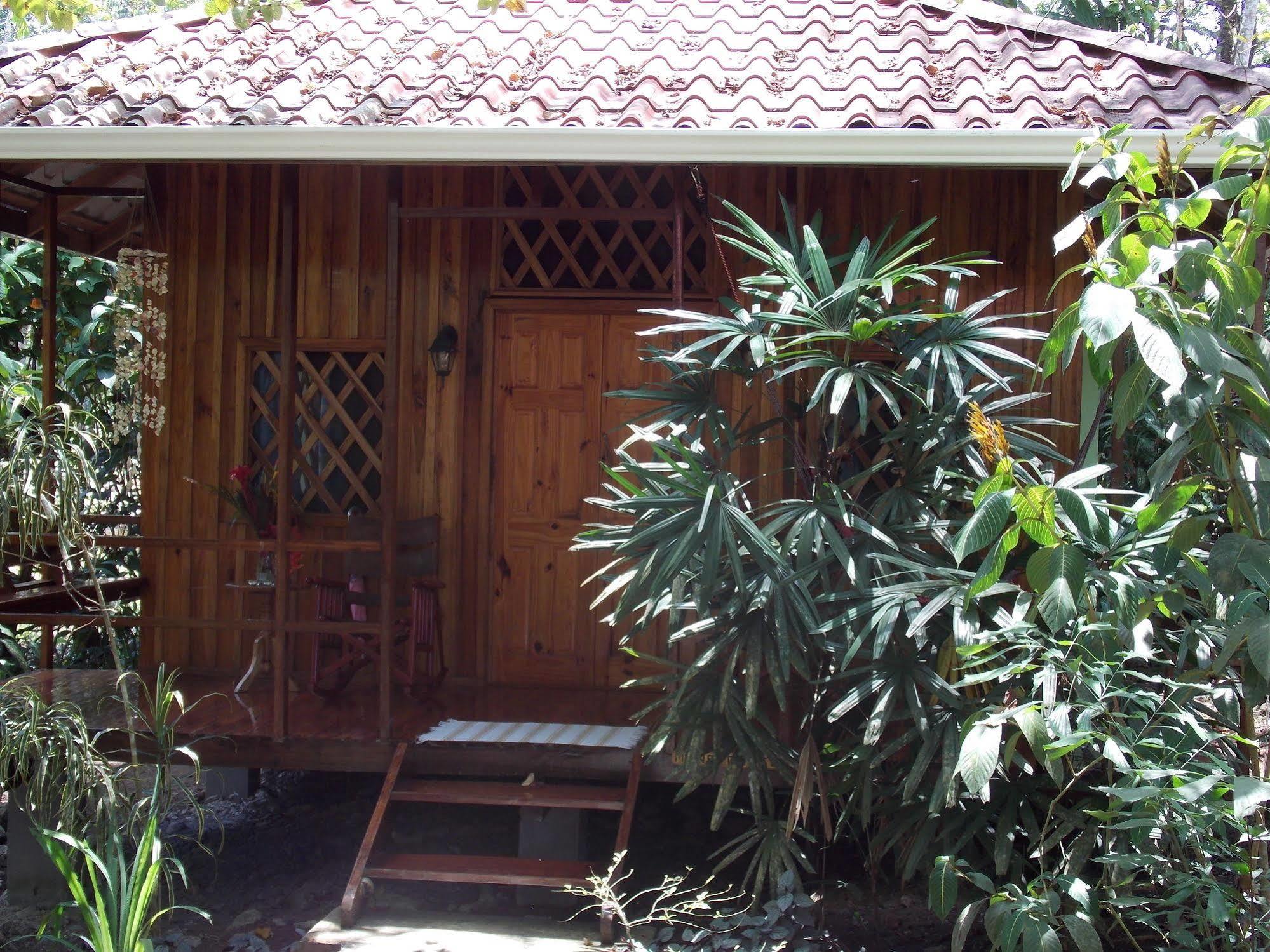 קאוויטה Coral Hill Bungalows מראה חיצוני תמונה