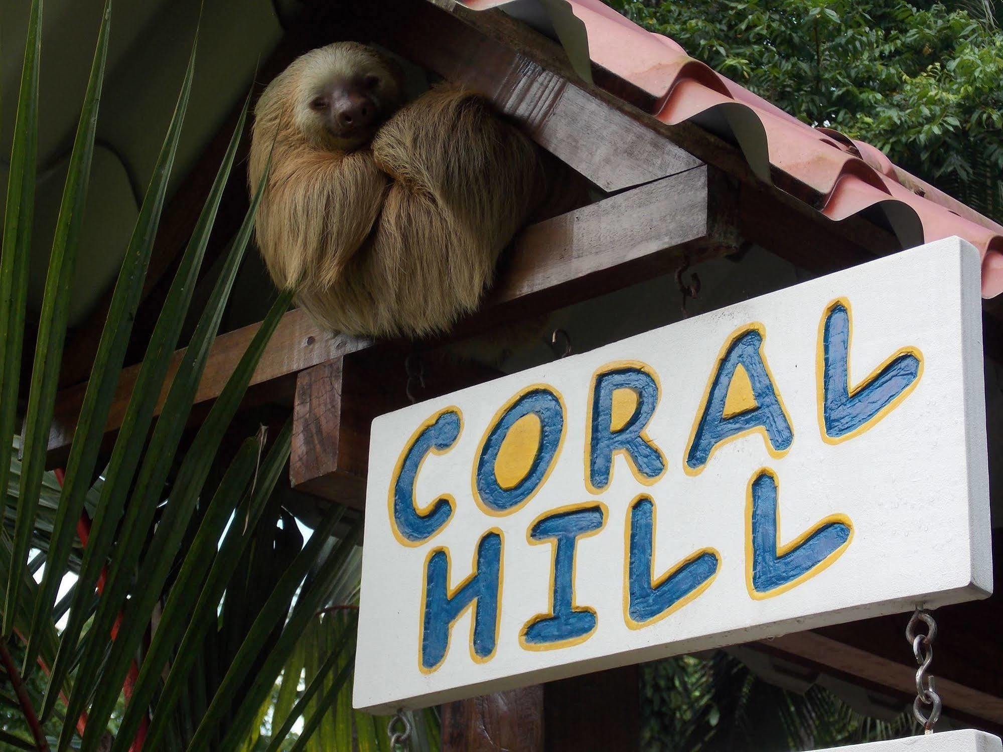 קאוויטה Coral Hill Bungalows מראה חיצוני תמונה