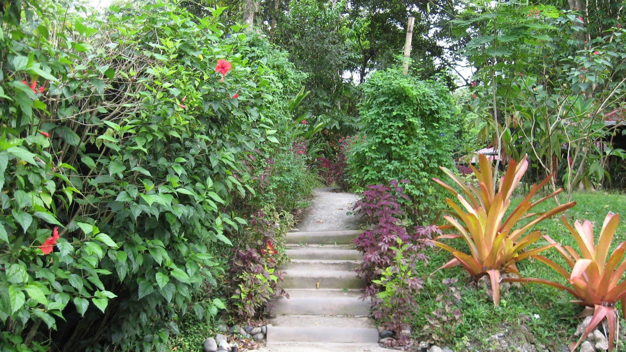 קאוויטה Coral Hill Bungalows מראה חיצוני תמונה