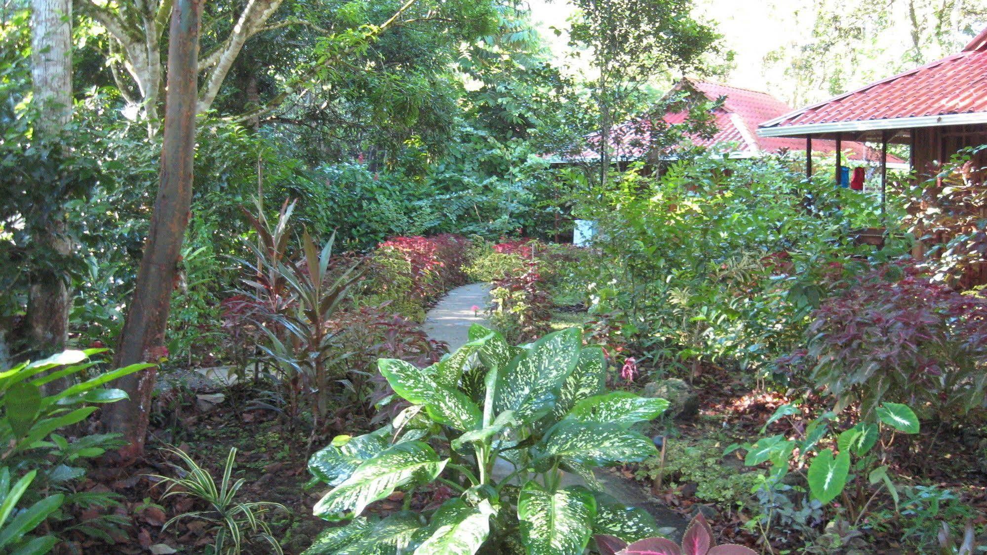 קאוויטה Coral Hill Bungalows מראה חיצוני תמונה